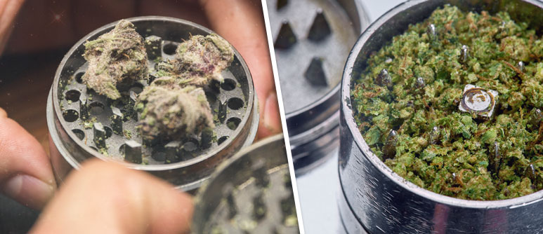 Grinder o trita marijuana: ecco a cosa serve » Crystalweed®