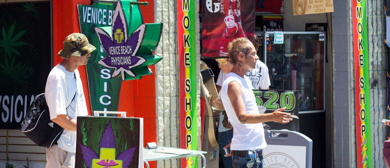 Erba in California: Chi può comprare la marijuana legale in California? -  CannaConnection