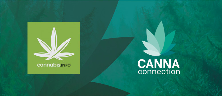 CannaConnection: la prima pagina nell'industria della cannabis